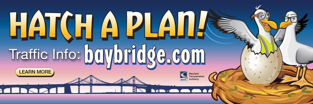 Hatch a plan, baybridge.com
